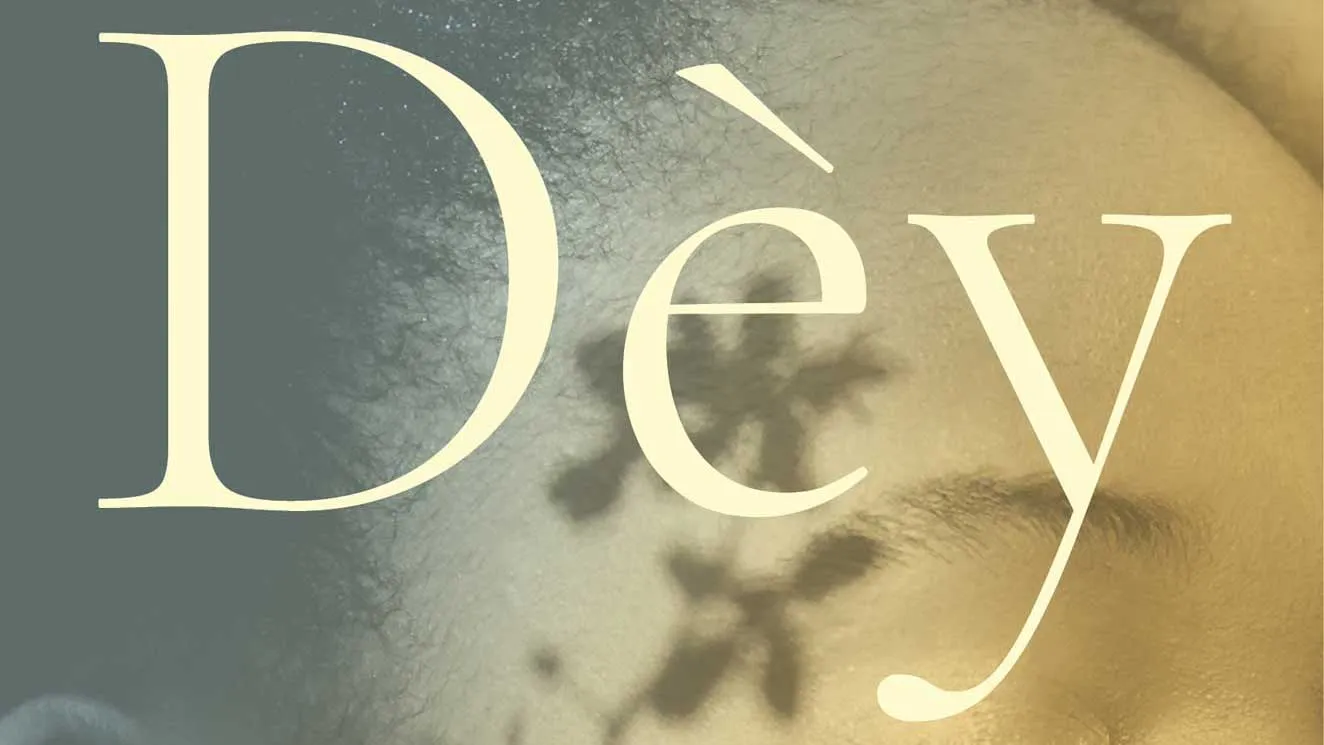 inset image of book cover