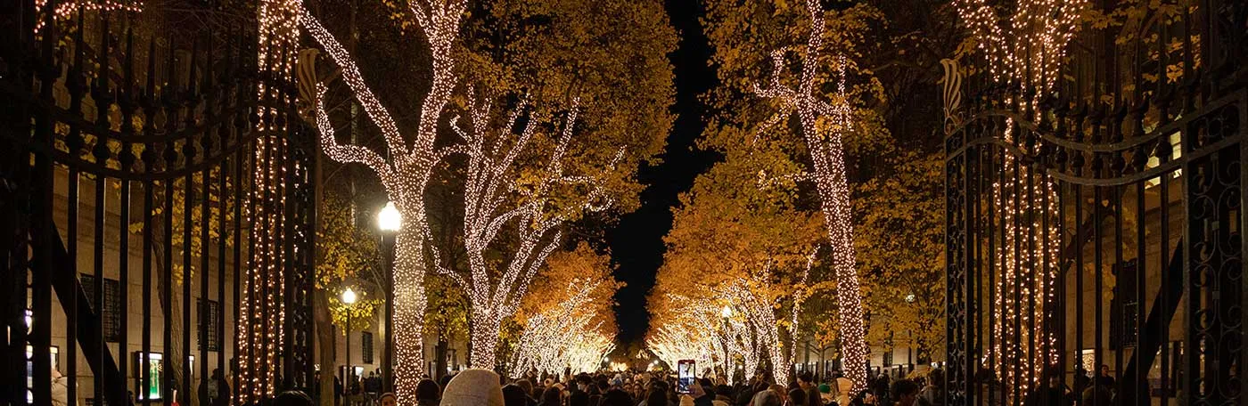 College Walk on campus during holiday lights April 2022.